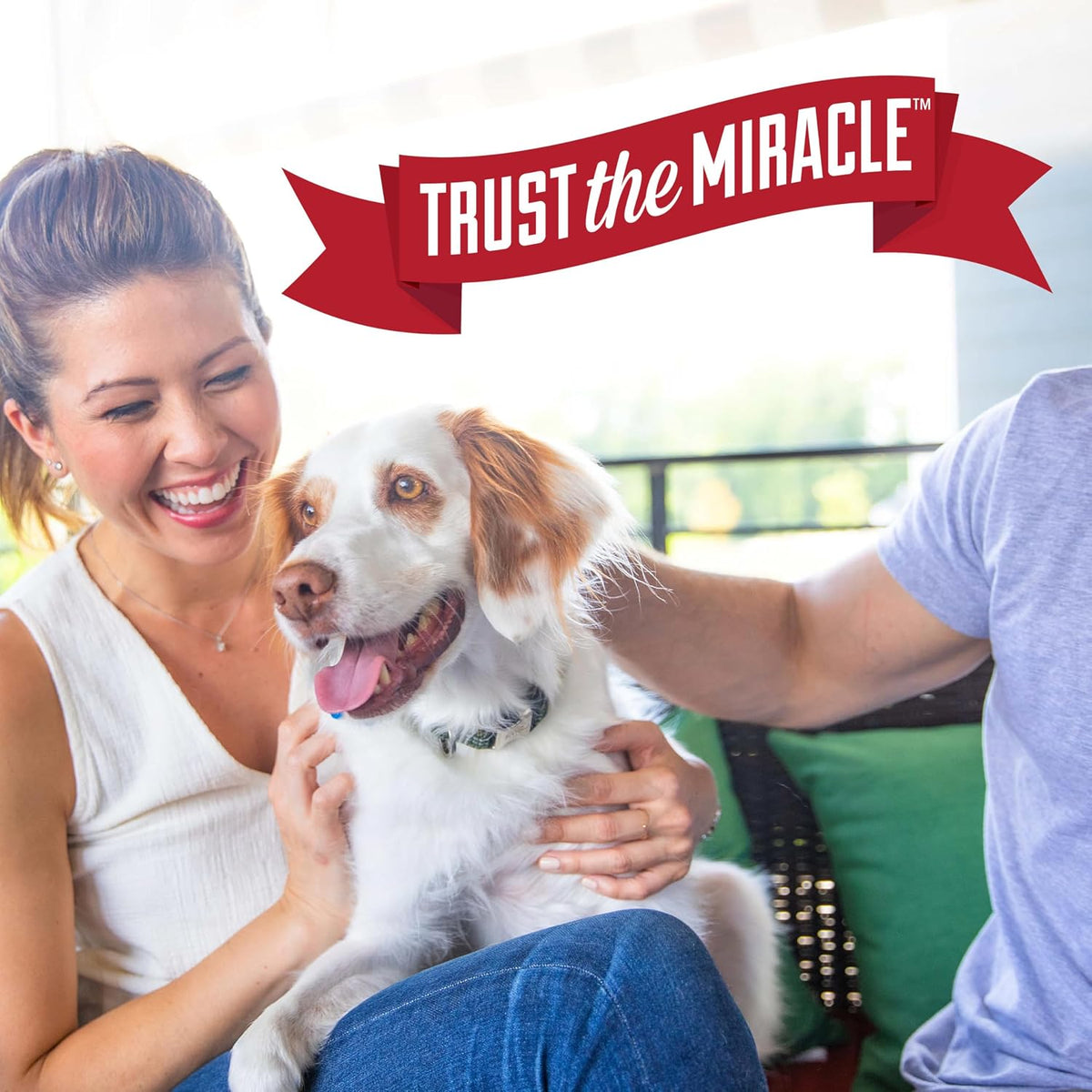 Nature's Miracle Enzymatic Dog Odor Remover – Restore a Calm, Clean-Smelling Living Space After Pet Accidents