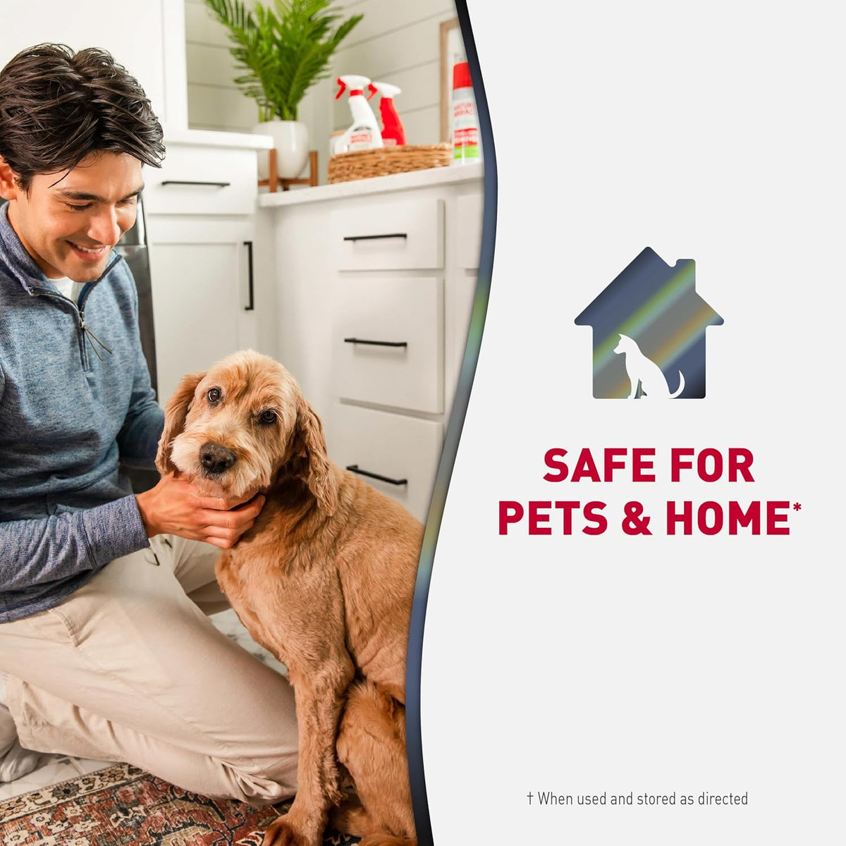 Nature's Miracle Enzymatic Dog Odor Remover – Restore a Calm, Clean-Smelling Living Space After Pet Accidents