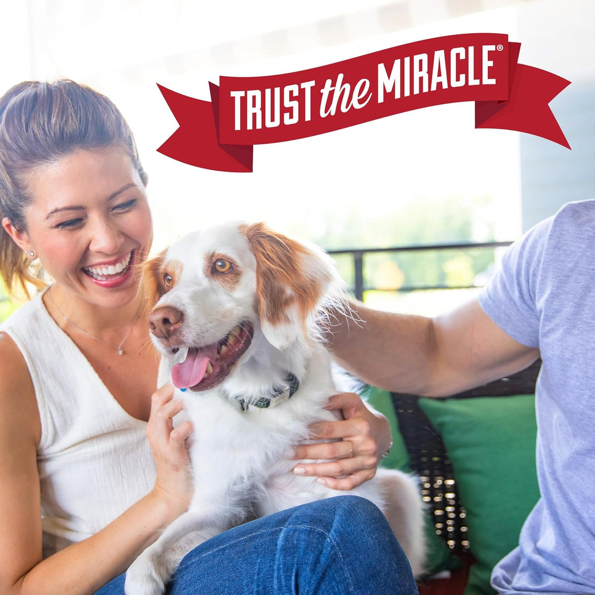Nature’s Miracle Stain and Odor Remover Dog, 32 Ounces – Car Interior and Cargo Area Stain Remover