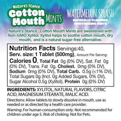 Nature's Stance Cotton Mouth Xylitol Mints – Ready-to-Give Hostess and Housewarming Gift with Four Flavor Options Inside