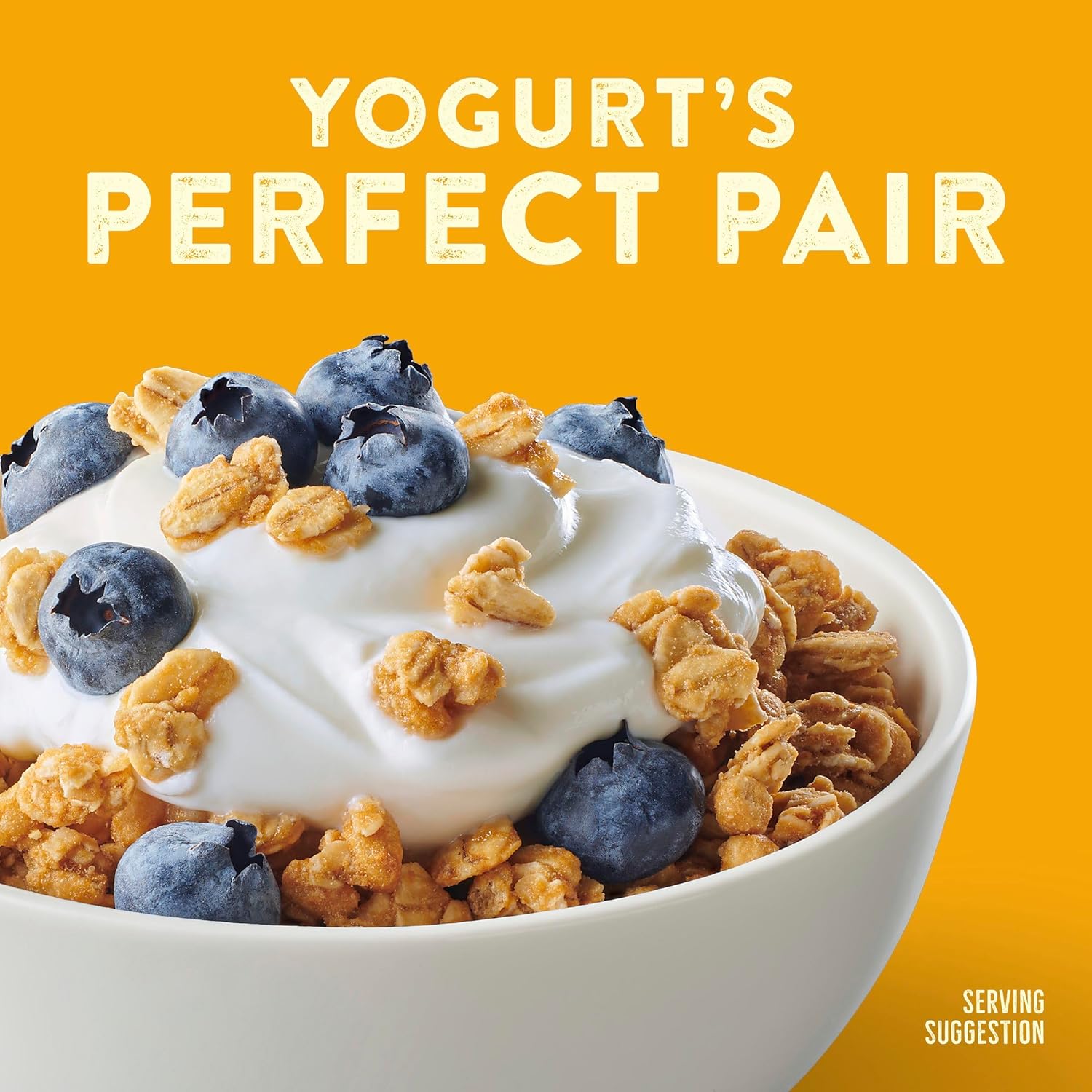 Nature Valley Protein Granola – Clean-Eating Pantry Staple, No Artificial Flavors for Health-Conscious Homes