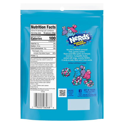 NERDS Juicy Gummy Clusters – Vibrant Sour Flavor Pick-Me-Up for Personal Treat Rituals, 2-Pack Stand-Up Bags