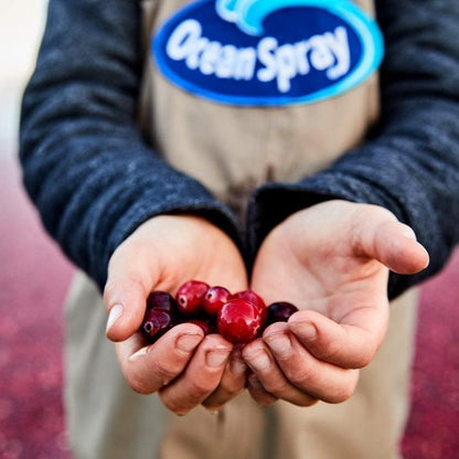 Ocean Spray Cran-Energy Cranberry Raspberry Energy Juice Drink for Study Desks and Mid Afternoon Focus Boosts