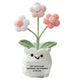 Emotional Support Plant
