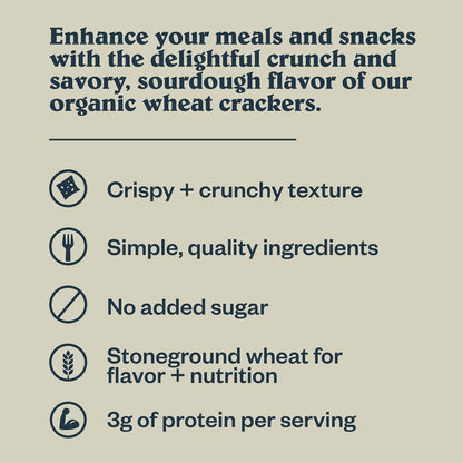 Patagonia Provisions Sourdough Crackers – Plant Protein Snack for Clean-Eating Lunches and Self-Care Snack Plates