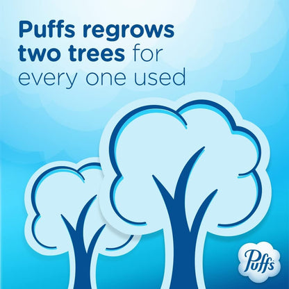 Puffs Plus Lotion Tissues Family Pack – Comfort Ritual Staple for Runny Nose, Sneezing, and Skin Soothing