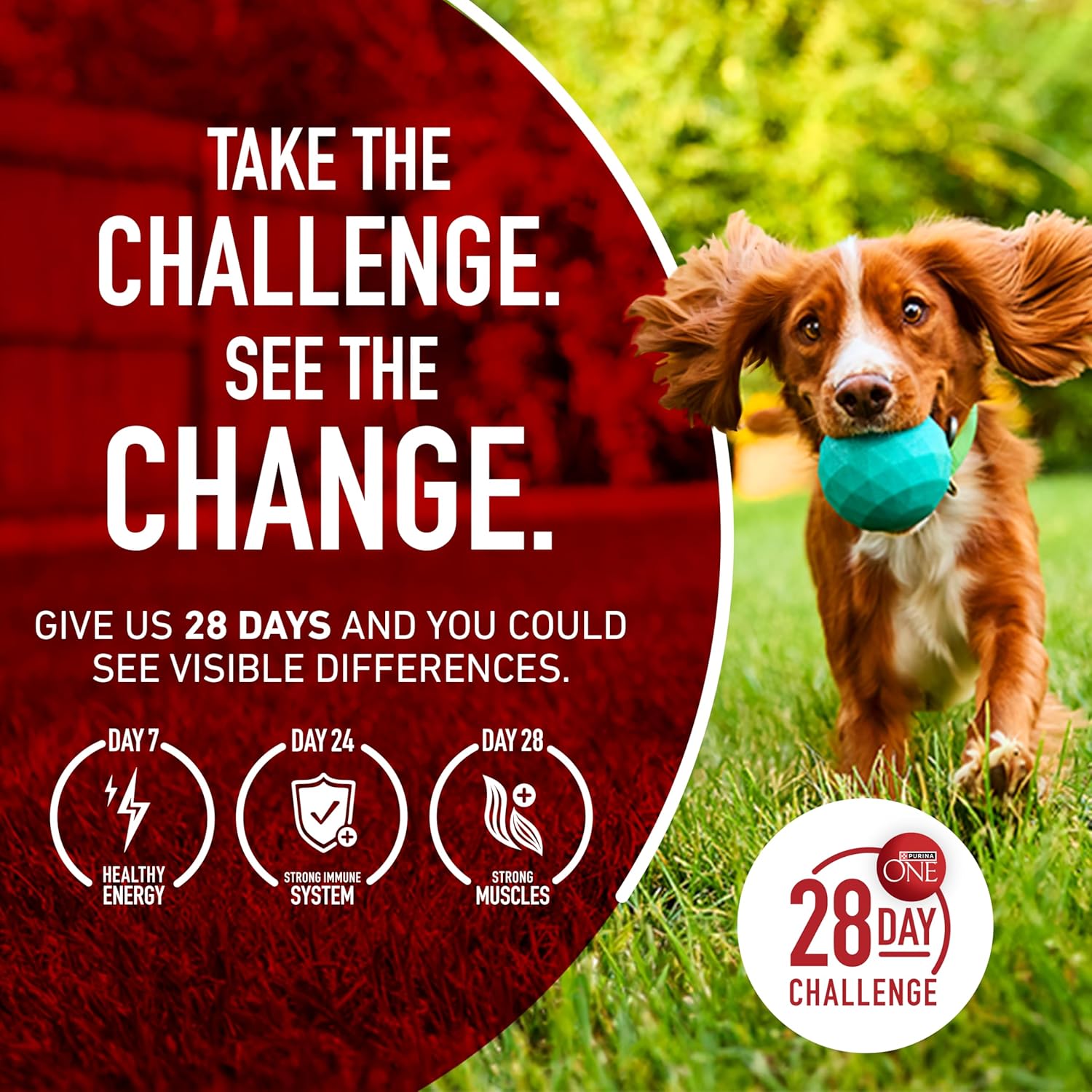 Purina ONE Dry Dog Food Lamb and Rice - 31.1 lb. Travel-Ready Bag for Camping, Kennels and Outdoor Boarding