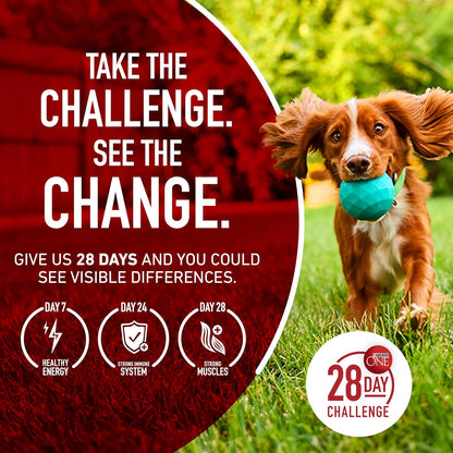 Purina ONE Dry Dog Food Lamb and Rice - 31.1 lb. Travel-Ready Bag for Camping, Kennels and Outdoor Boarding