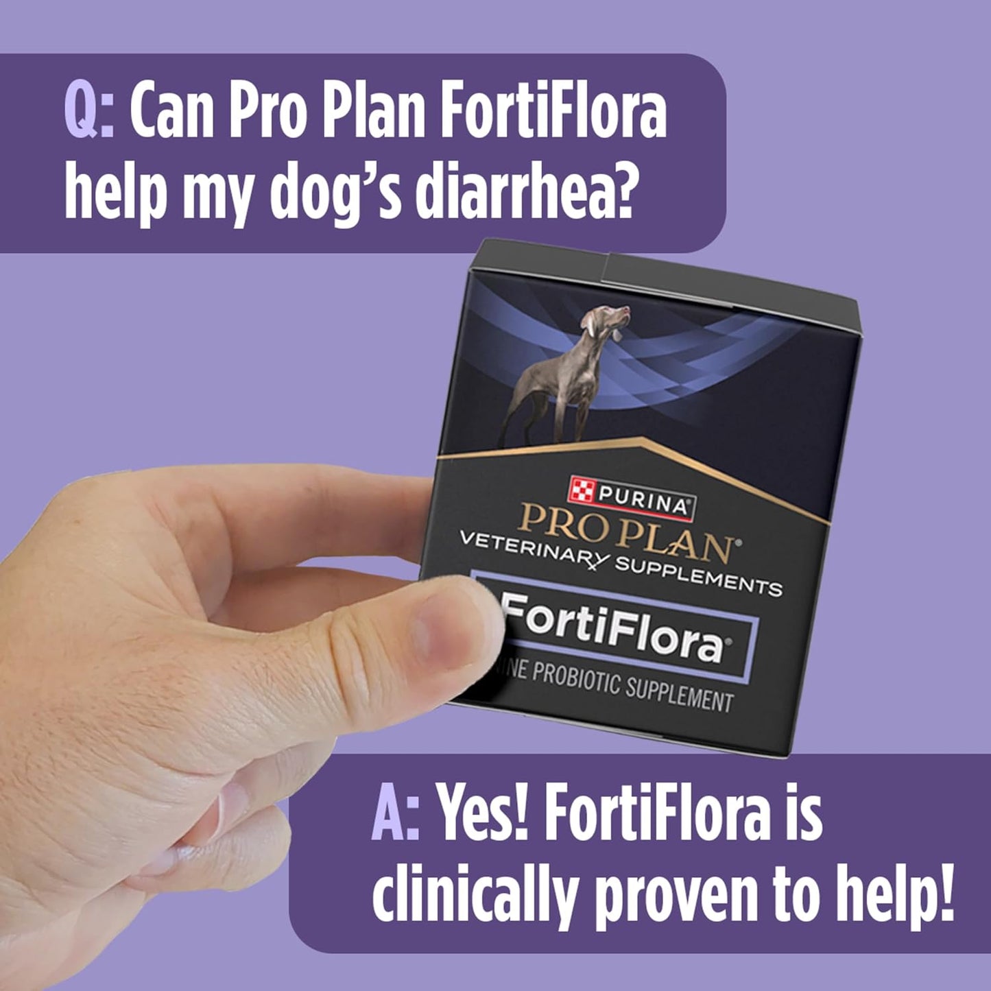 Purina Pro Plan FortiFlora Probiotic for Dogs – Clean, Powder-Only Formula with No Pills or Harsh Additives