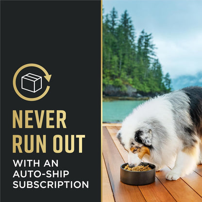 Purina Pro Plan Small Breed Adult Sensitive Skin and Stomach Salmon – Crafted Limited-Ingredient Recipe in a 4 lb Trial Bag