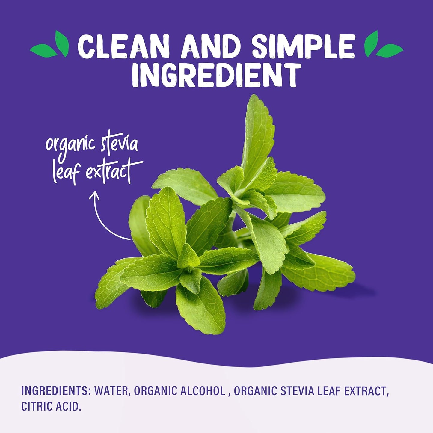 Pyure Organic Stevia Extract – Diabetic Friendly Holiday Gift for Wellness Lovers