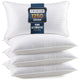 White - King (Pack of 4)