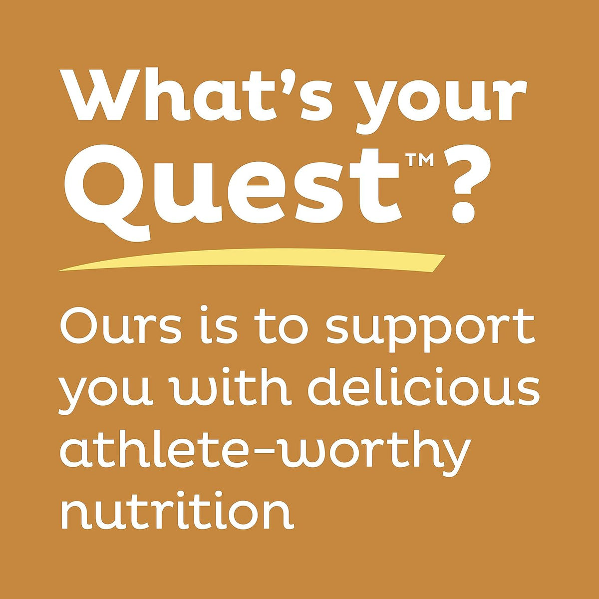 Quest Nutrition Mini Chocolate Chip Protein Bars – Gym Bag and Locker Recovery Bite for Outdoor Workouts, Gluten Free, Pack of 2