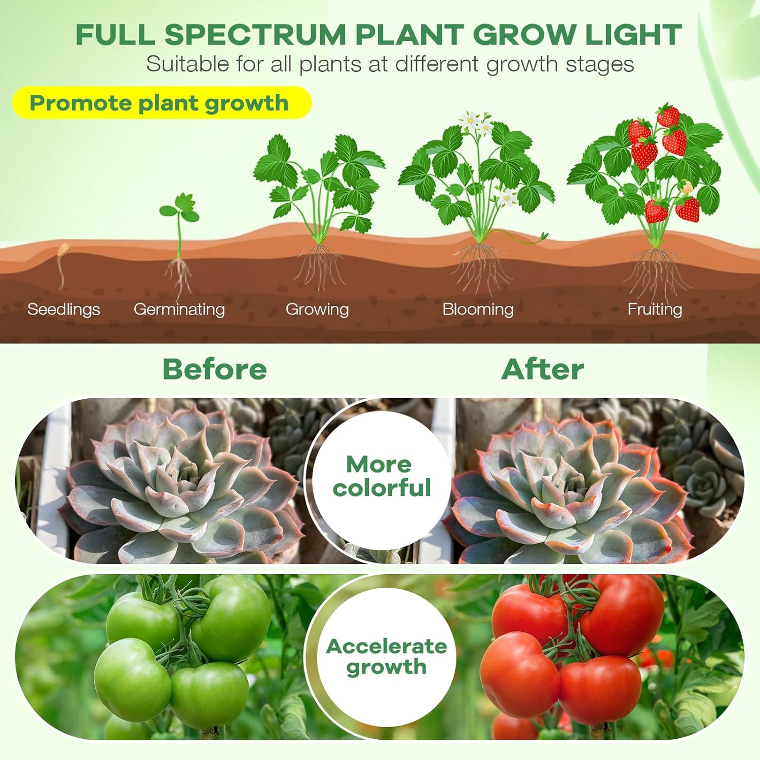 SANSI Dimmable Grow Lamp – Warm Aesthetic Lighting for Houseplant Displays and Reading Nooks