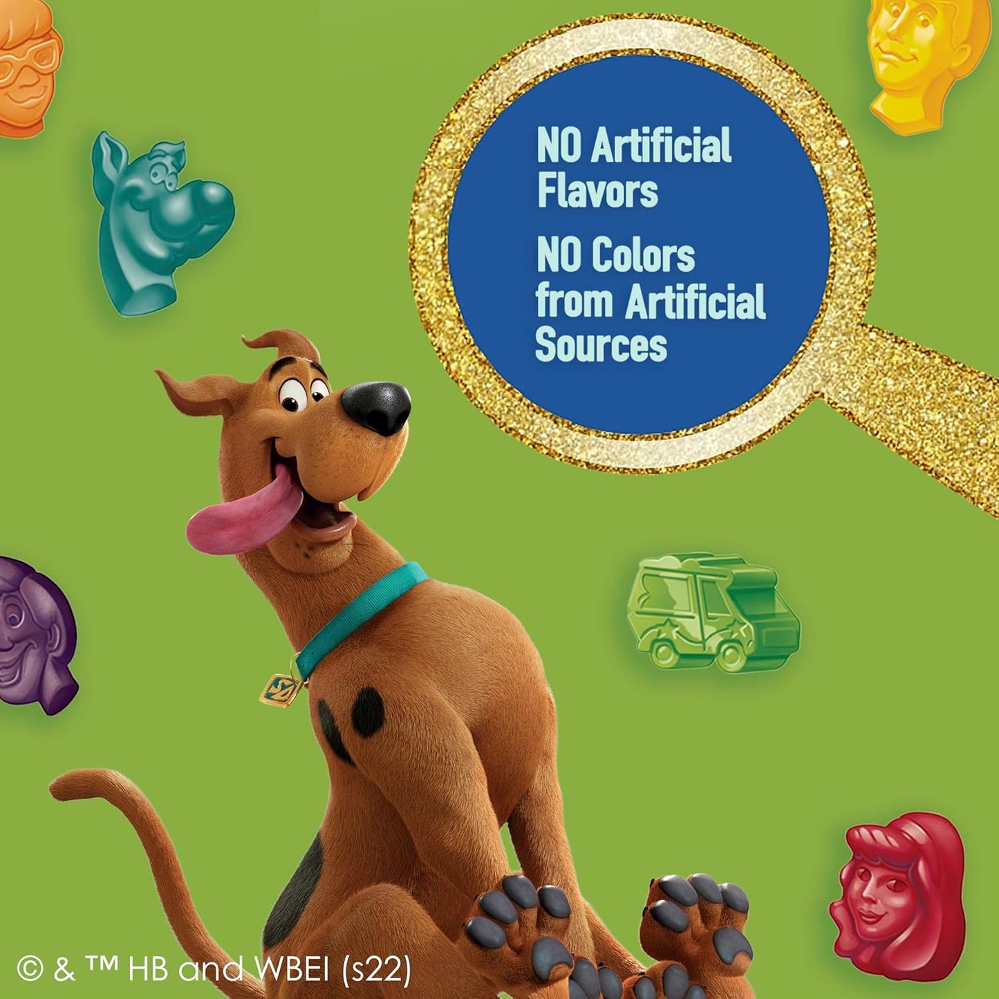 Scooby-Doo Fruit Flavored Snacks Gluten Free 22 Pouches Scooby Doo Themed Halloween Goody Bag Alternative
