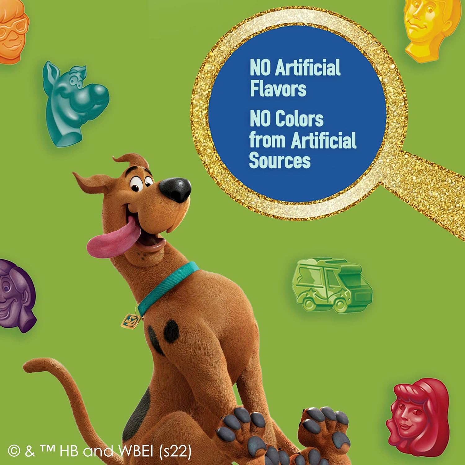 Scooby-Doo Fruit Flavored Snacks Gluten Free 22 Pouches Scooby Doo Themed Halloween Goody Bag Alternative