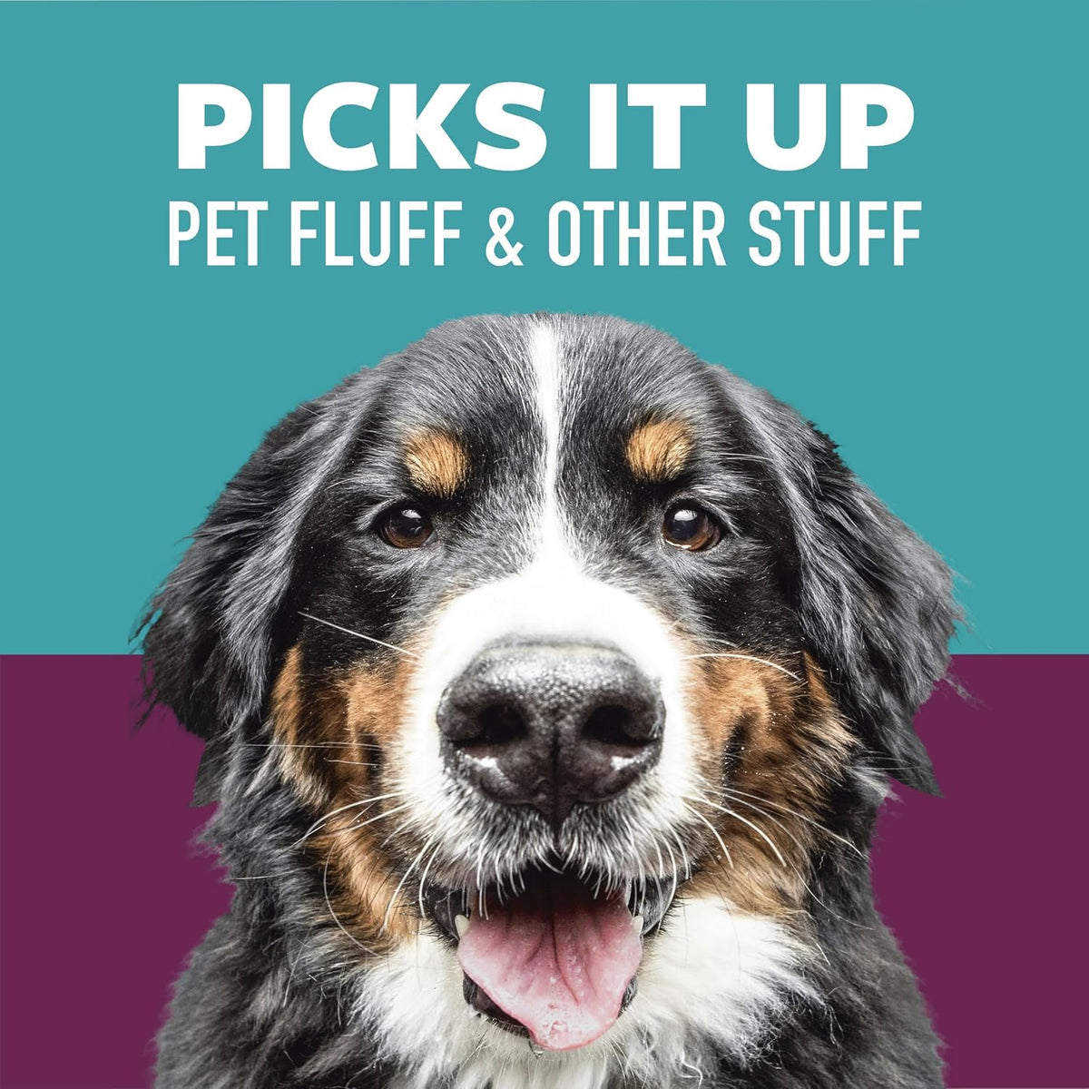 Scotch-Brite Extra Sticky Pet Roller – Practical Birthday Gift for Dog Mom, Quick Fur Remover for Clothes and Furniture