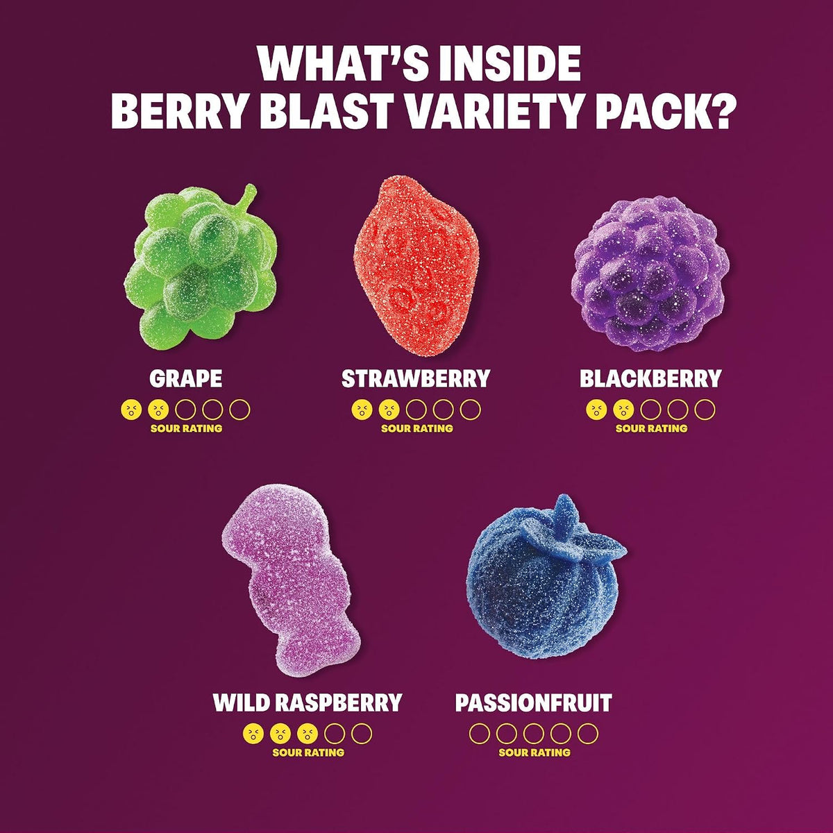 Shameless Snacks Berry Blast Gummy Pack – Low-Sugar Vegan Snack for School Lunches and Playdates