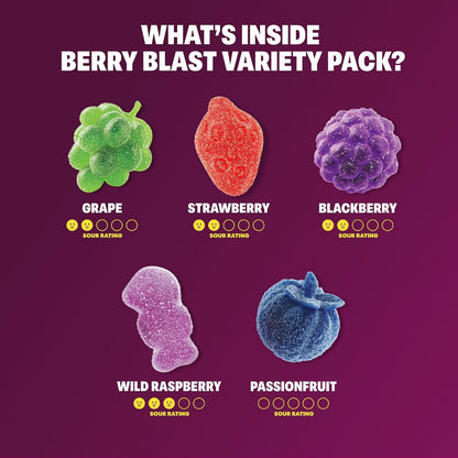 Shameless Snacks Berry Blast Gummy Pack – Low-Sugar Vegan Snack for School Lunches and Playdates