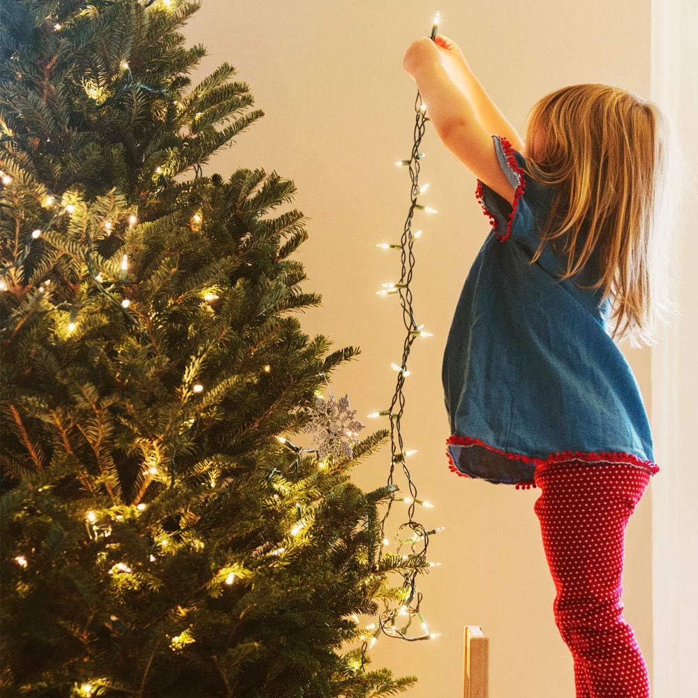 Smokeless Battery Operated String Lights with Memory Function and Timer, Pet and Child Safe Indoor Outdoor Lighting, Waterproof LED Fairy Lights USB Option