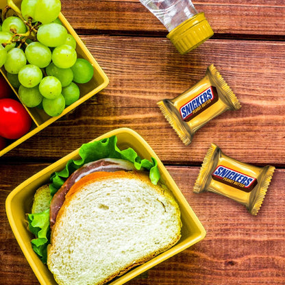 SNICKERS Peanut Butter Squared Individually Wrapped Candy for Camping Trips and Outdoor Movie Nights, 11.5oz