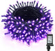 Purple - 300 LED
