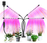 SANSI Dimmable Grow Lamp – Warm Aesthetic Lighting for Houseplant Displays and Reading Nooks