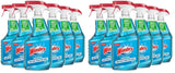Windex Multi-Surface Glass Spray – Storefront Window Cleaning, Professional Shine for Sidewalk-Facing Shopfronts