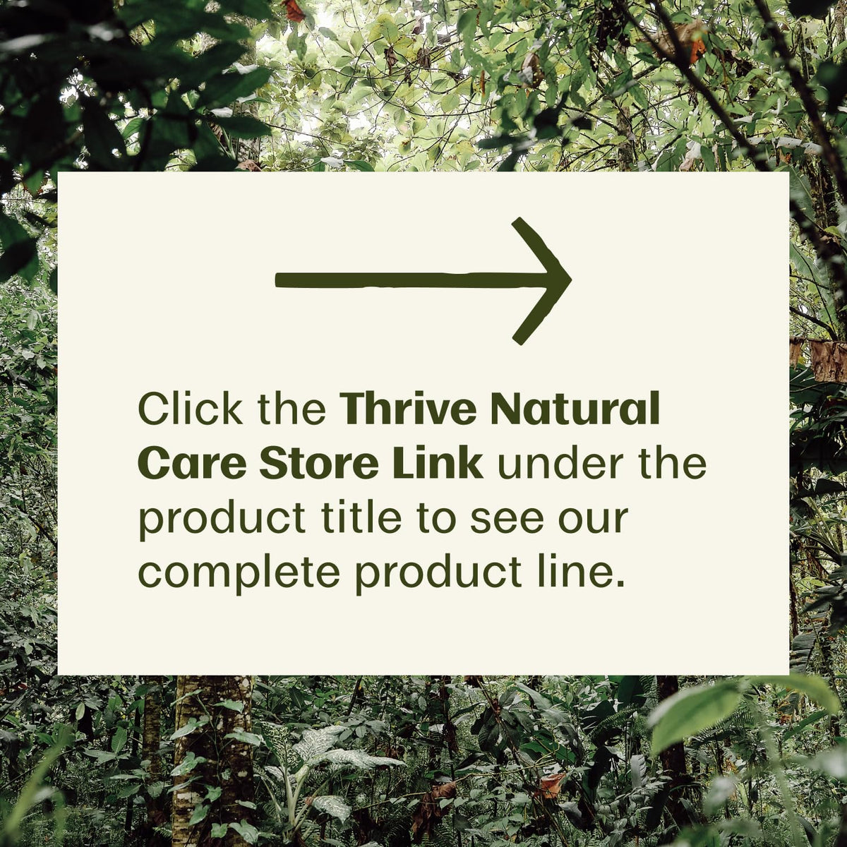 Thrive Natural Care Mineral SPF 50 Sunblock – Holiday Gift Set for the Clean Beauty Lover
