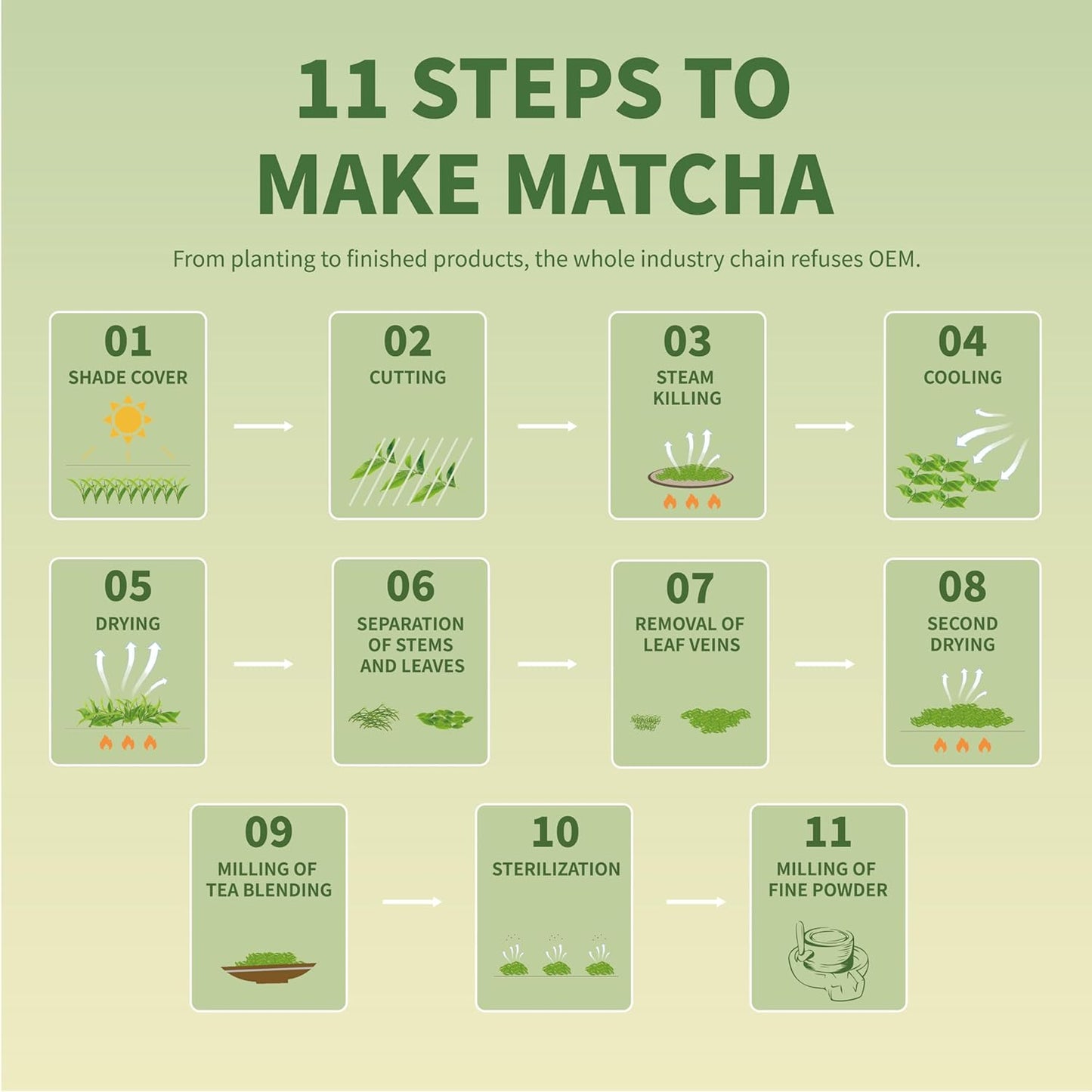 TIAN HU SHAN Matcha Powder Unsweetened – Balanced Caffeine for Wellness Routines, Steady Energy Without the Jitters