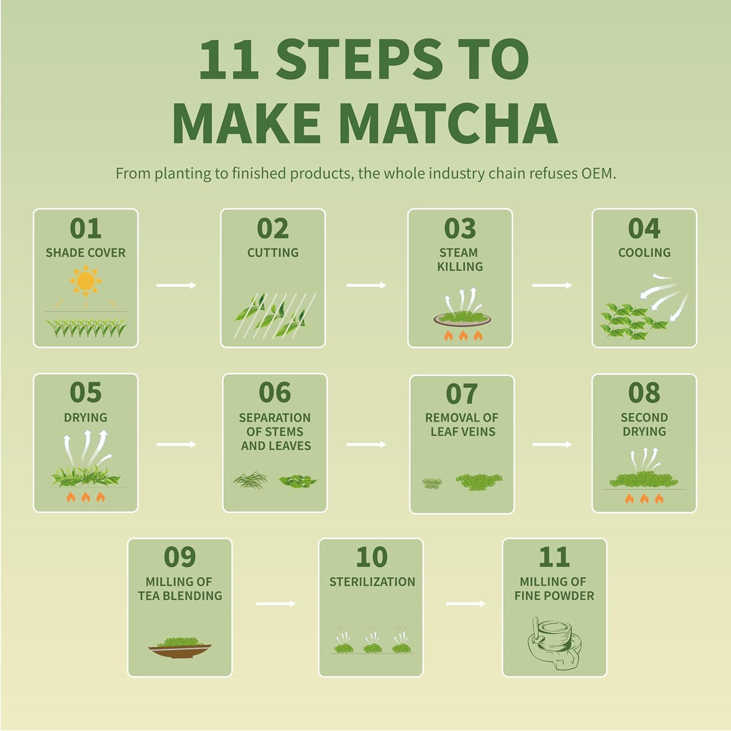 TIAN HU SHAN Matcha Powder Unsweetened – Balanced Caffeine for Wellness Routines, Steady Energy Without the Jitters