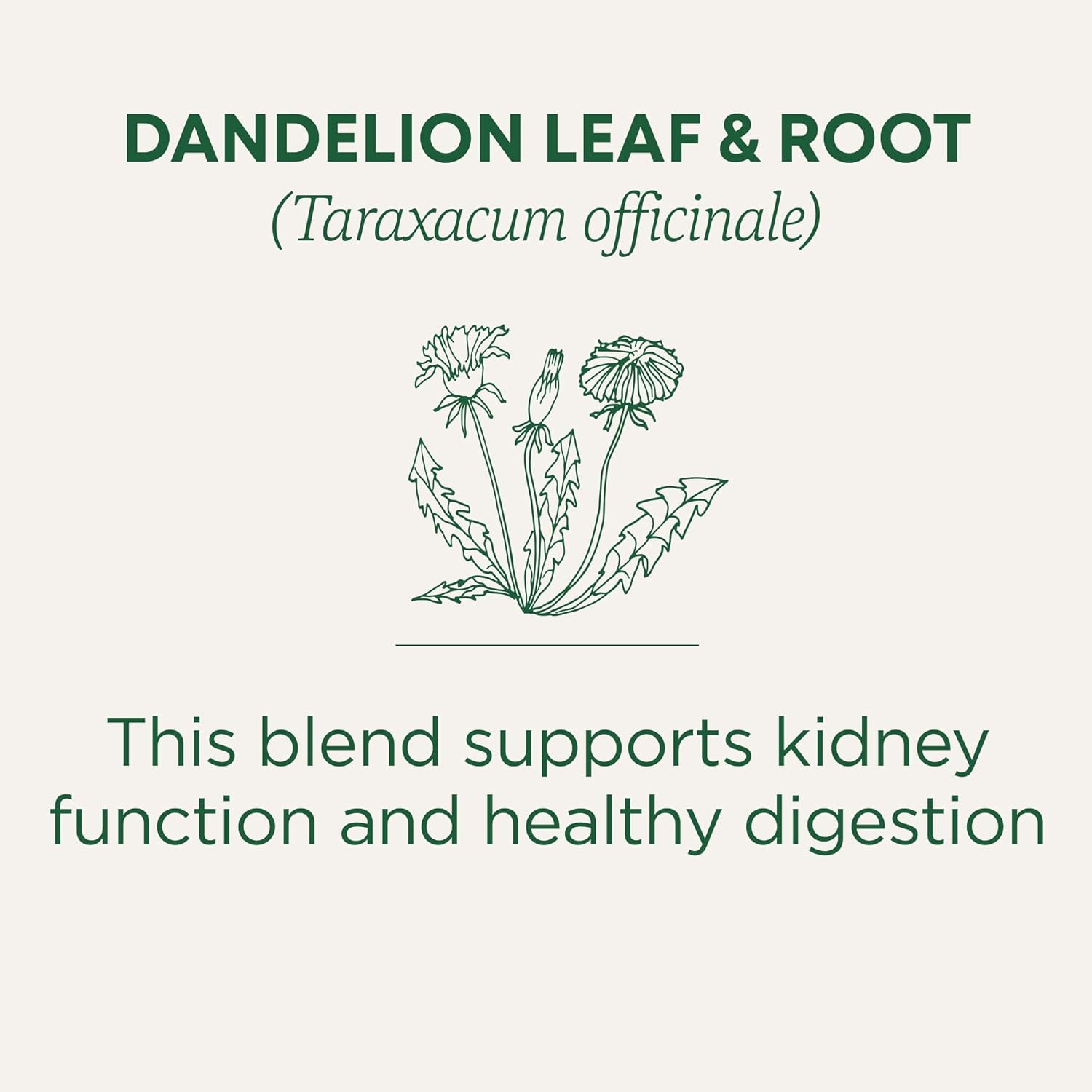 Traditional Medicinals Dandelion Herbal Tea – Plant-Based Evening Ritual for Holistic Wellness Enthusiasts
