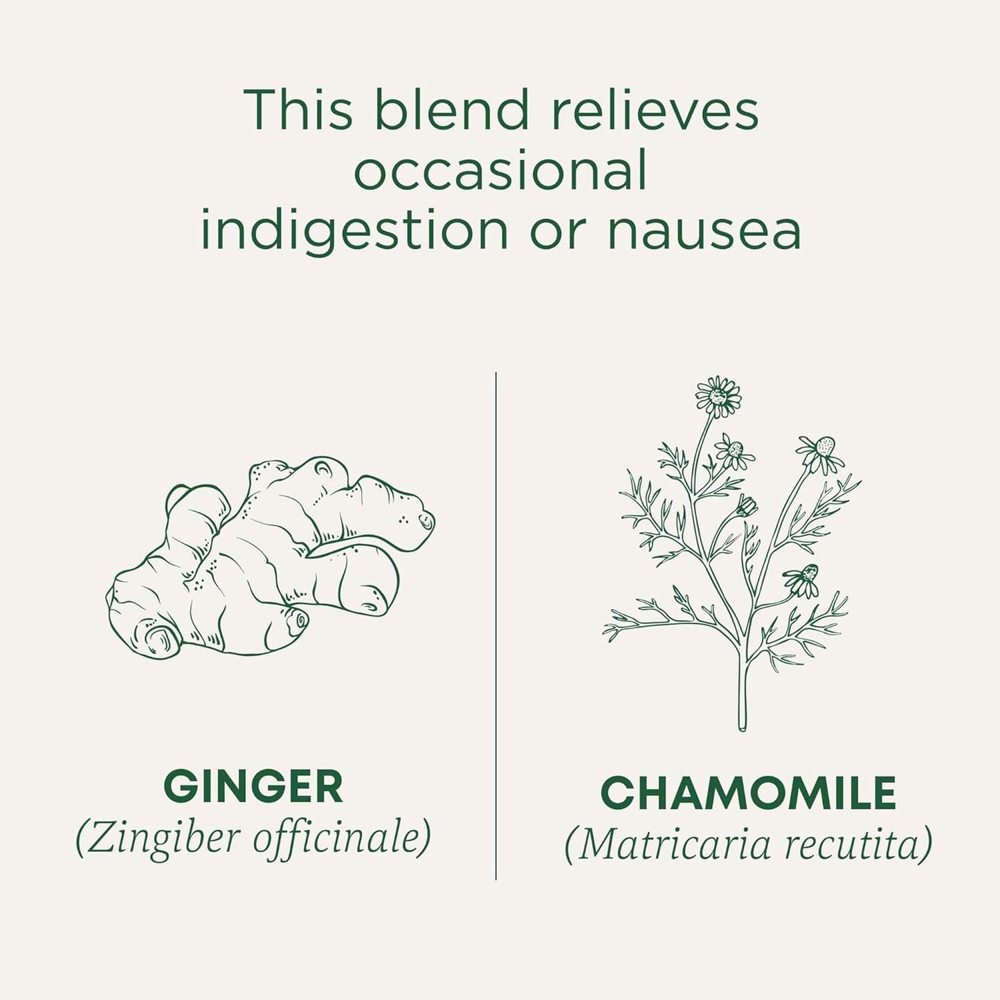 Traditional Medicinals Herbal Ginger & Chamomile Infusion – Self-Care Tea for Indigestion and Restful Sleep, 16 Bags