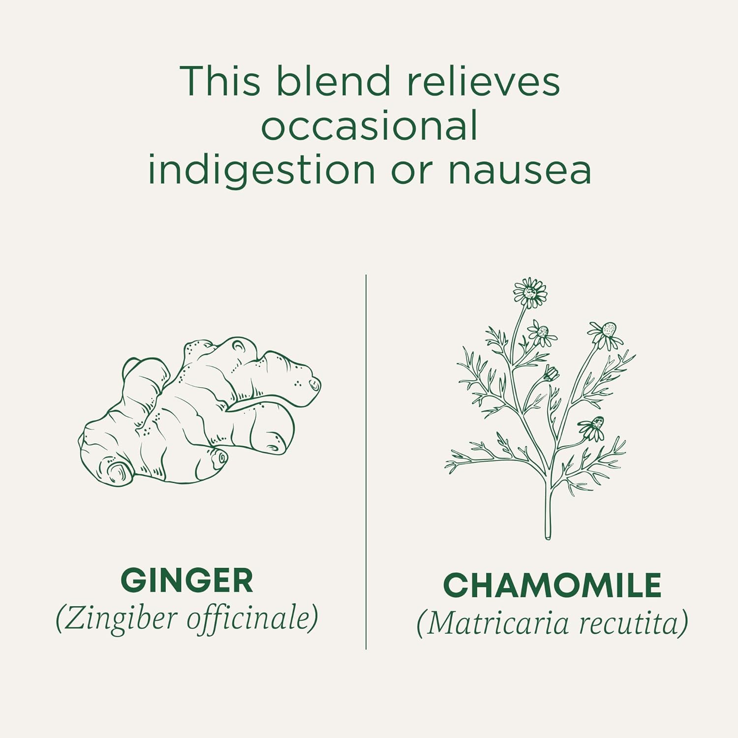 Traditional Medicinals Herbal Ginger & Chamomile Infusion – Self-Care Tea for Indigestion and Restful Sleep, 16 Bags