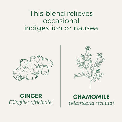 Traditional Medicinals Herbal Ginger & Chamomile Infusion – Self-Care Tea for Indigestion and Restful Sleep, 16 Bags