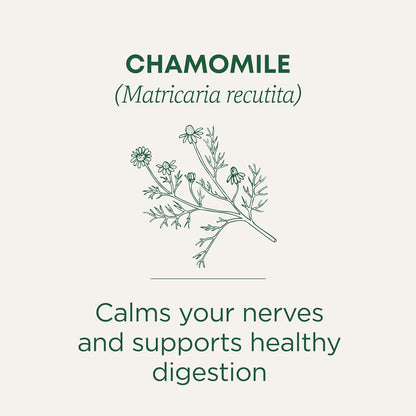 Traditional Medicinals Organic Chamomile Herbal Tea – Gentle Daily Wellness Tea for Mindful Moments and Deep Relaxation, 16 Bags