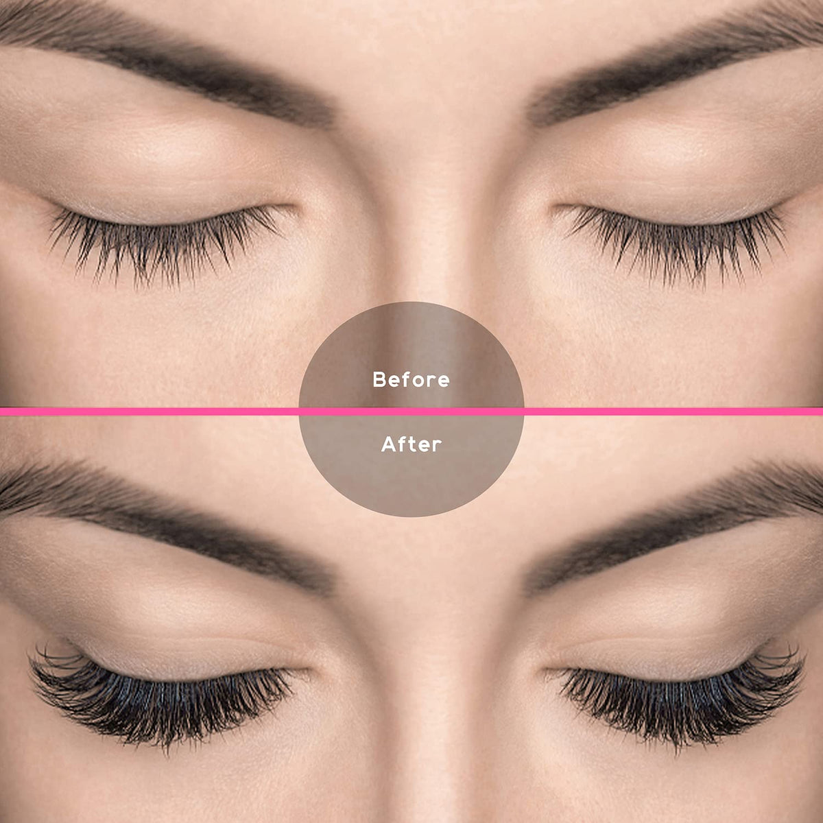 twelve rows of lashes per tray for high-volume professional use