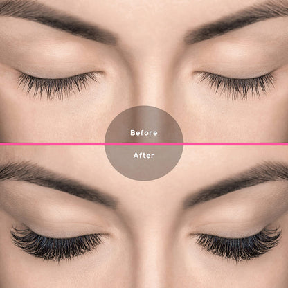 twelve rows of lashes per tray for high-volume professional use