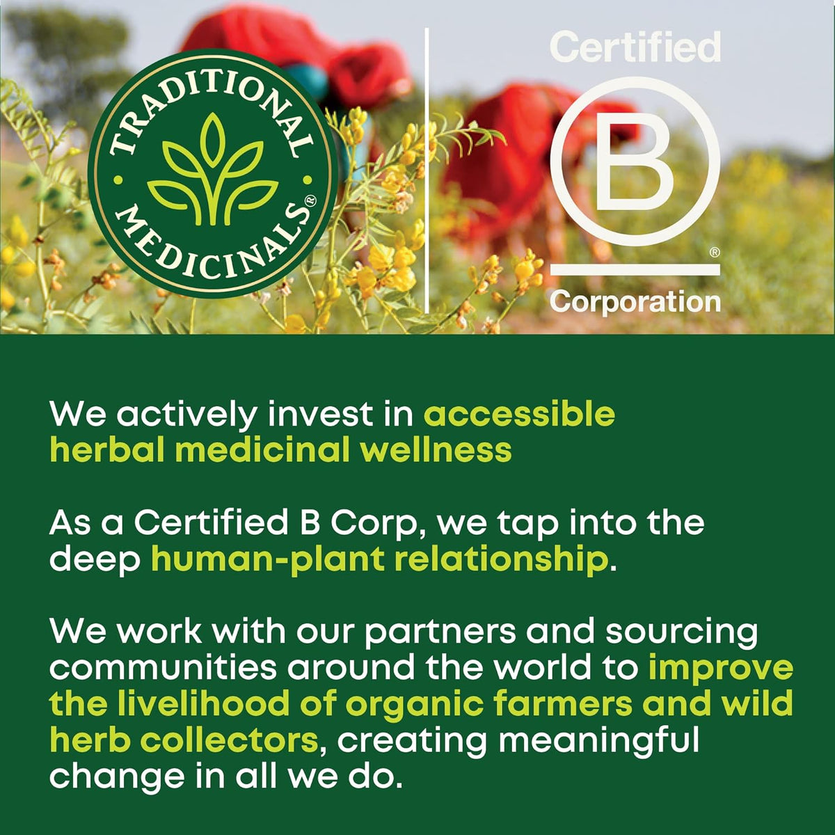 usda certified organic, kosher, and non-gmo certifications