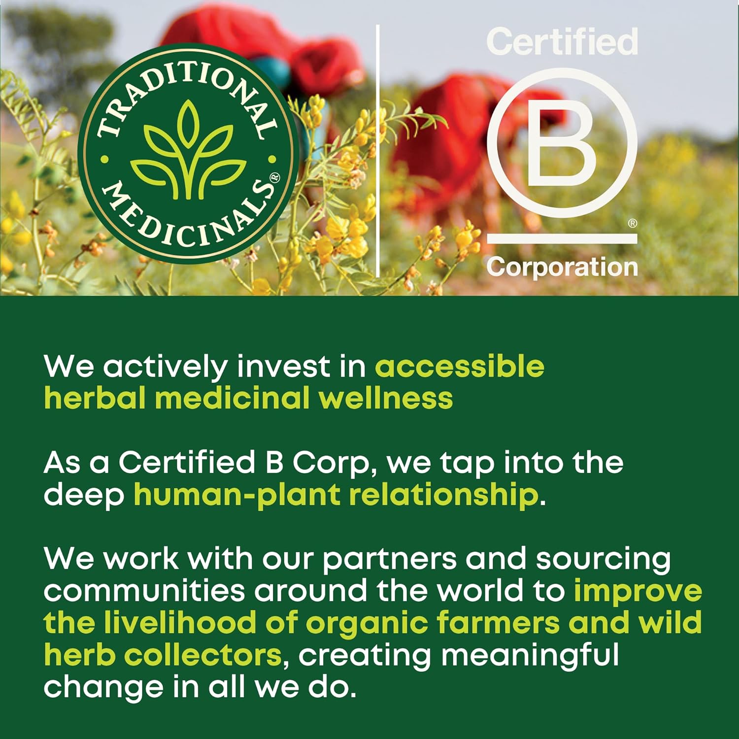 usda certified organic, non-gmo project verified, kosher, and caffeine-free
