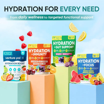 Venture Pal 16-Stick Electrolyte Variety – Wellness Countertop Staple for Clean Label Hydration Without Caffeine or Artificial Colors