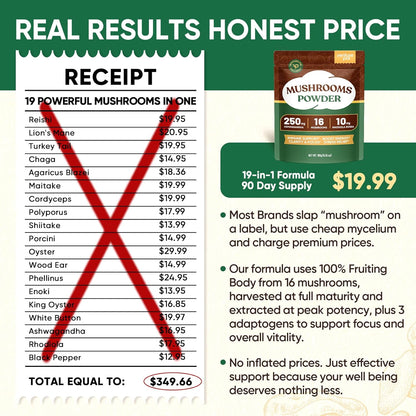 Venture Pal Mushroom Adaptogen Formula – Streamlined, Non-GMO Daily Stack for a Less-Is-More Supplement Shelf