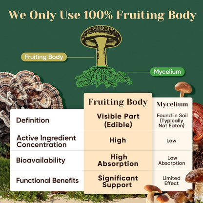 Venture Pal Mushroom Adaptogen Formula – Streamlined, Non-GMO Daily Stack for a Less-Is-More Supplement Shelf