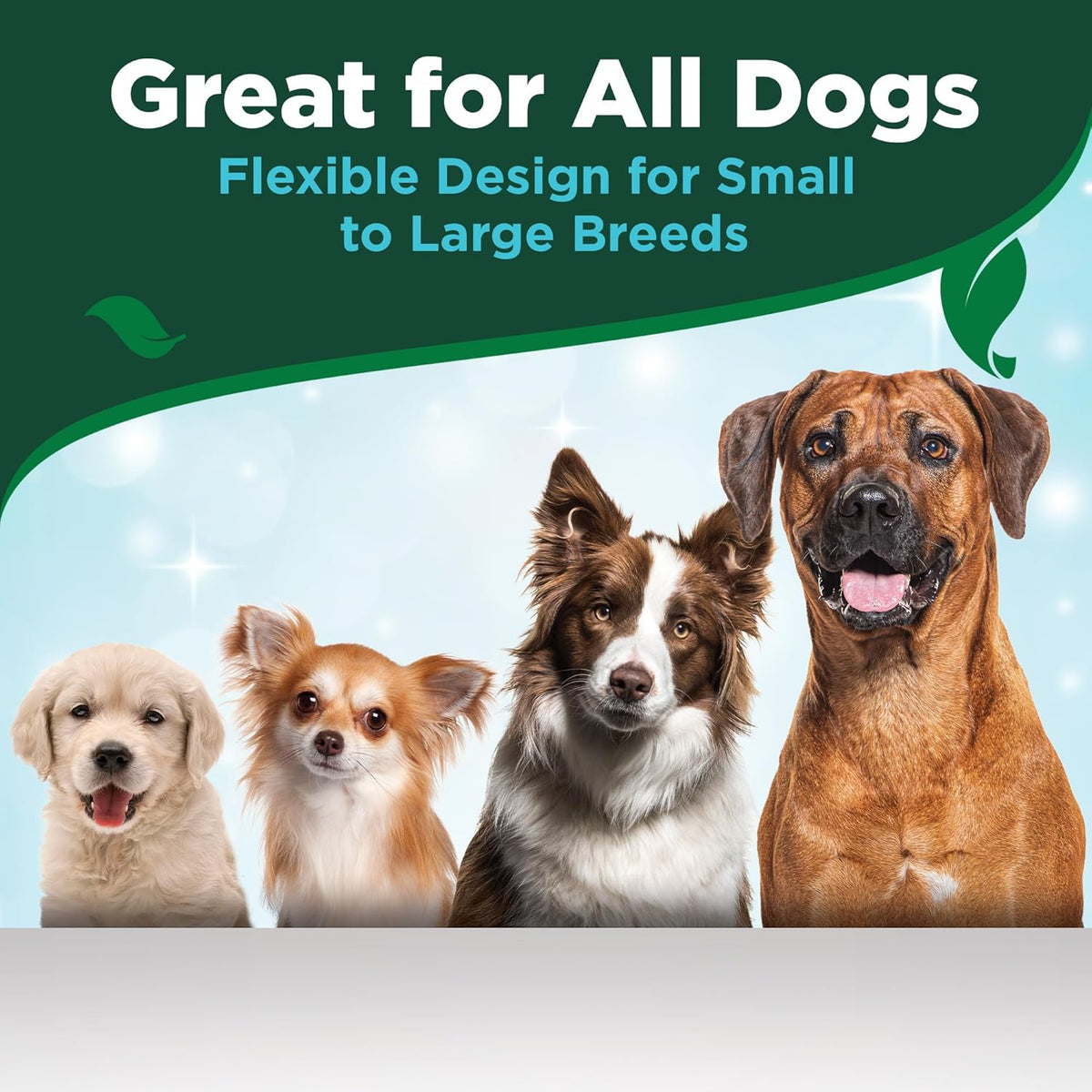 Vet's Best Dog Toothpaste & Brush Kit – Family-Friendly Dental Care, Natural Non-Toxic Formula Safe Around Kids