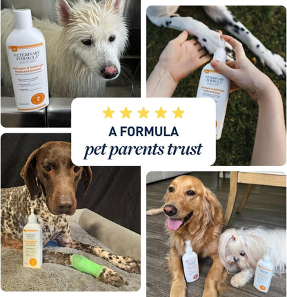 Veterinary Formula Clinical Care Antiseptic & Antifungal Spray 8 fl oz for Safe Daily Application Without Harsh Soap Residue