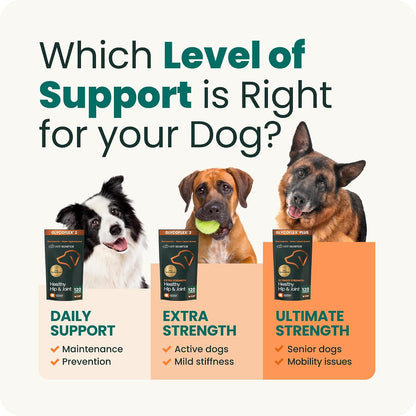 VetriScience Extra Strength Healthy Hip & Joint Chews for Dogs – NASC-Certified Vet-Formulated Joint Support