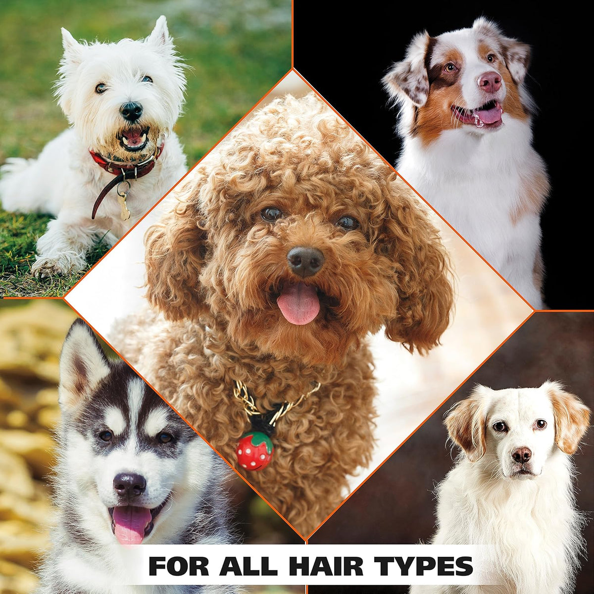 Wahl USA 4-in-1 Calming Dog Shampoo with Lavender Chamomile Scent – Calming Scented Shampoo for Pre-Grooming Relaxation in Dogs