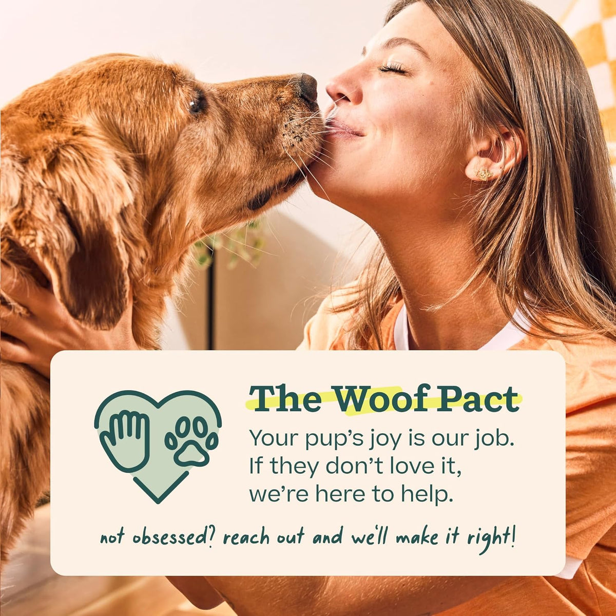 WOOF Pupsicle Birthday Refill Pops Dog Treats, Large – Hiker-Friendly Pup Reward for Rest Stops on the Trail