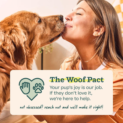 WOOF Pupsicle Birthday Refill Pops Dog Treats, Large – Hiker-Friendly Pup Reward for Rest Stops on the Trail