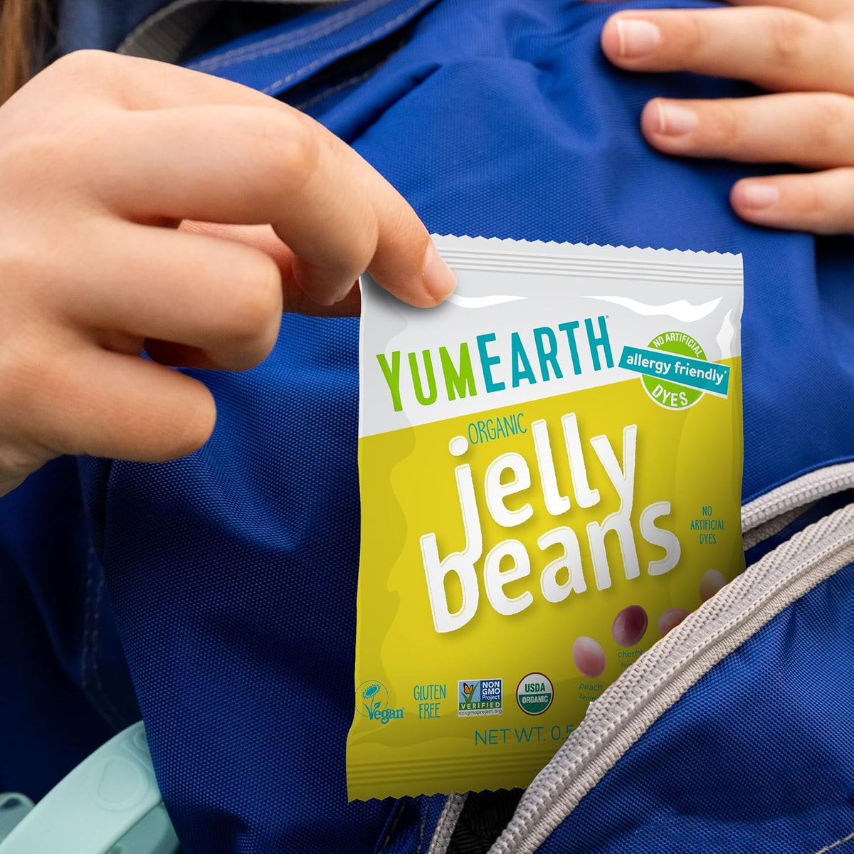 YumEarth Organic Jelly Beans – Clean Label Fruity Candy for Picky Eaters with Allergies, Assorted Fruit Flavors, 7.5 oz Pack of 15